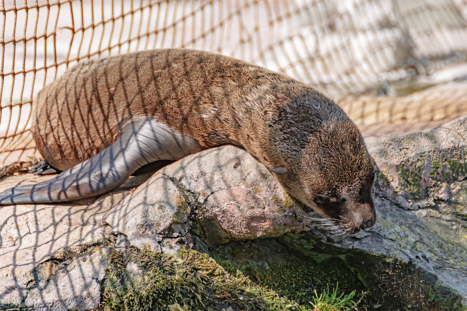 Zoom Erlebniswelt Gelsenkirchen