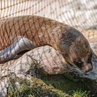 Zoom Erlebniswelt Gelsenkirchen