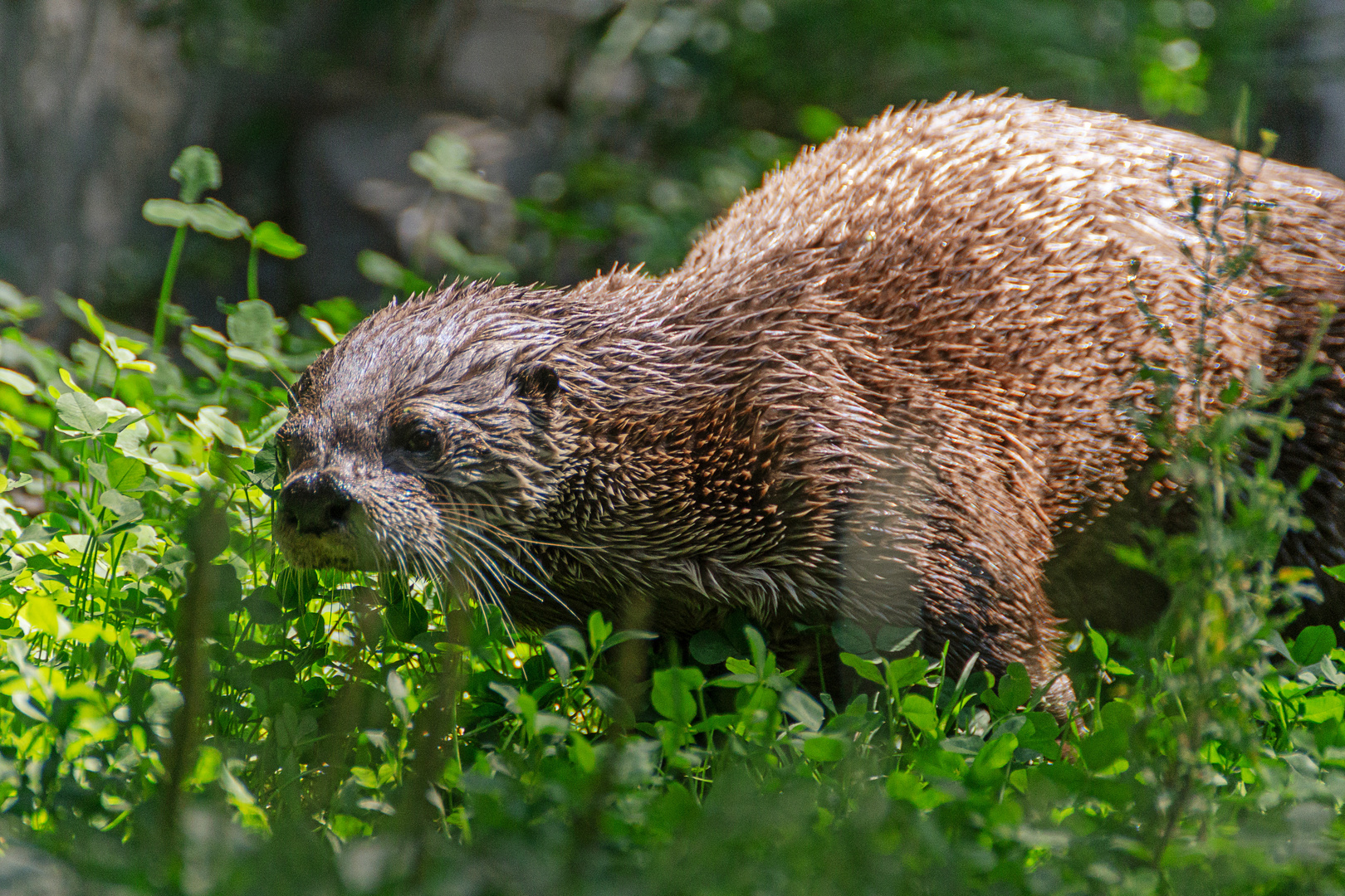 Zoom Erlebniswelt Gelsenkirchen