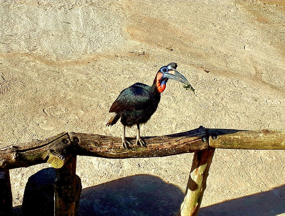 Zoom Erlebniswelt in Gelsenkirchen