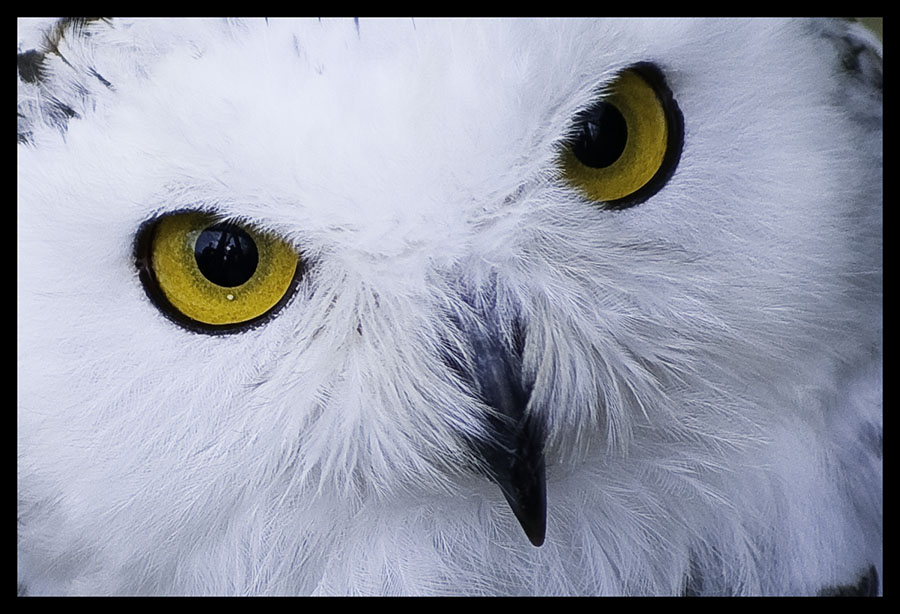 ZOOM Erlebniswelt Two