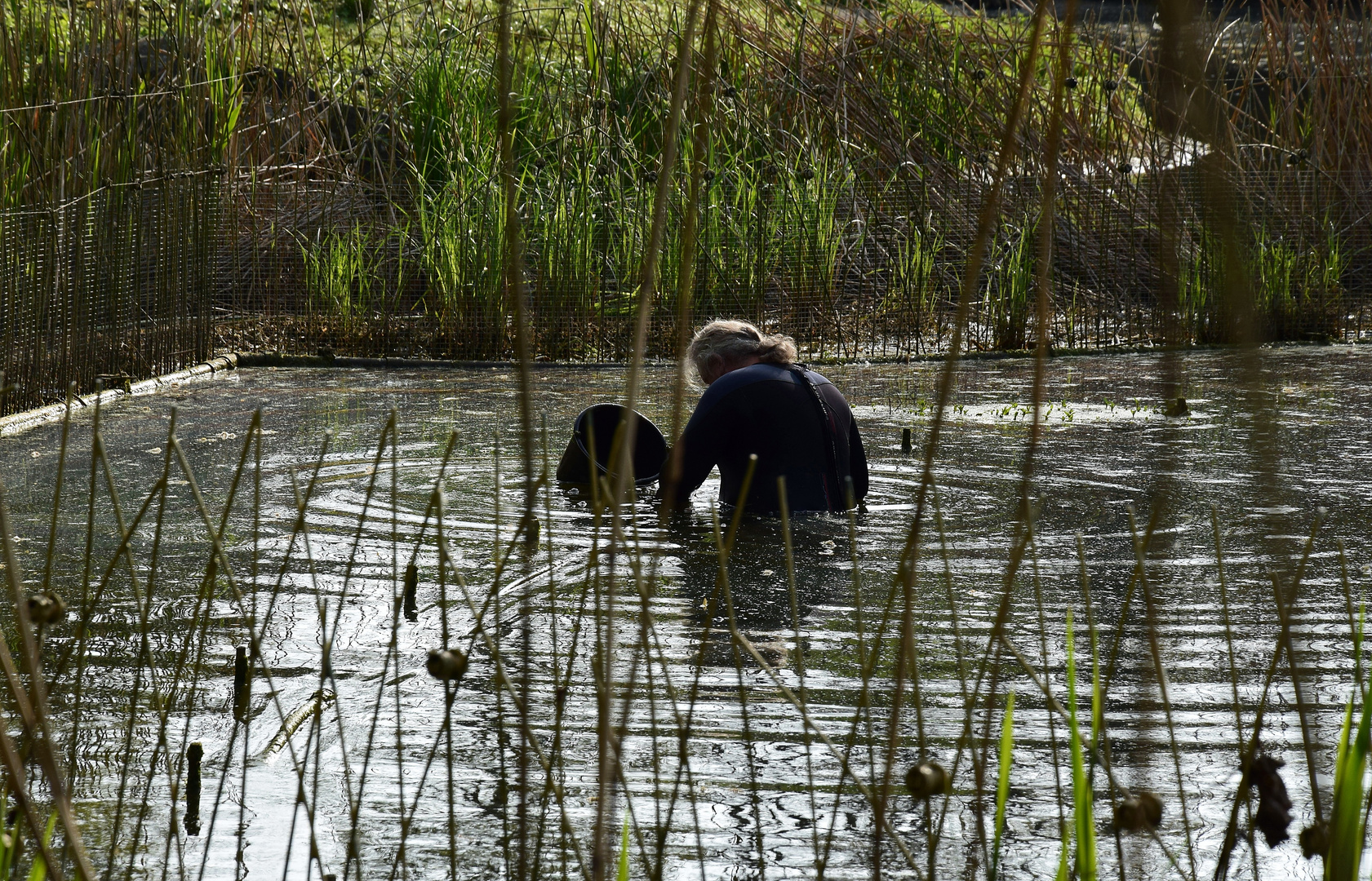 Zoom GE - Alaska (2) Ein seltenes Wassertier