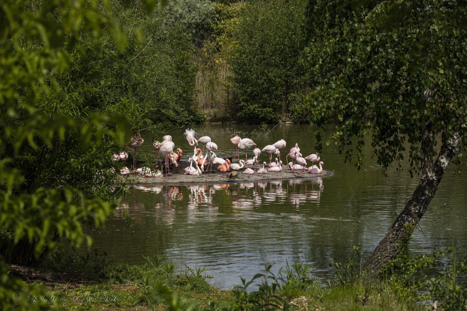 ZOOM Gelsenkirchen