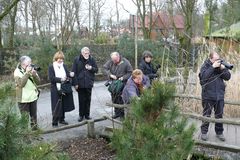 ZOOM Gelsenkirchen - Auf der Suche nach Motiven