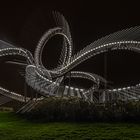 ZOOM - Tiger and Turtle in Duisburg