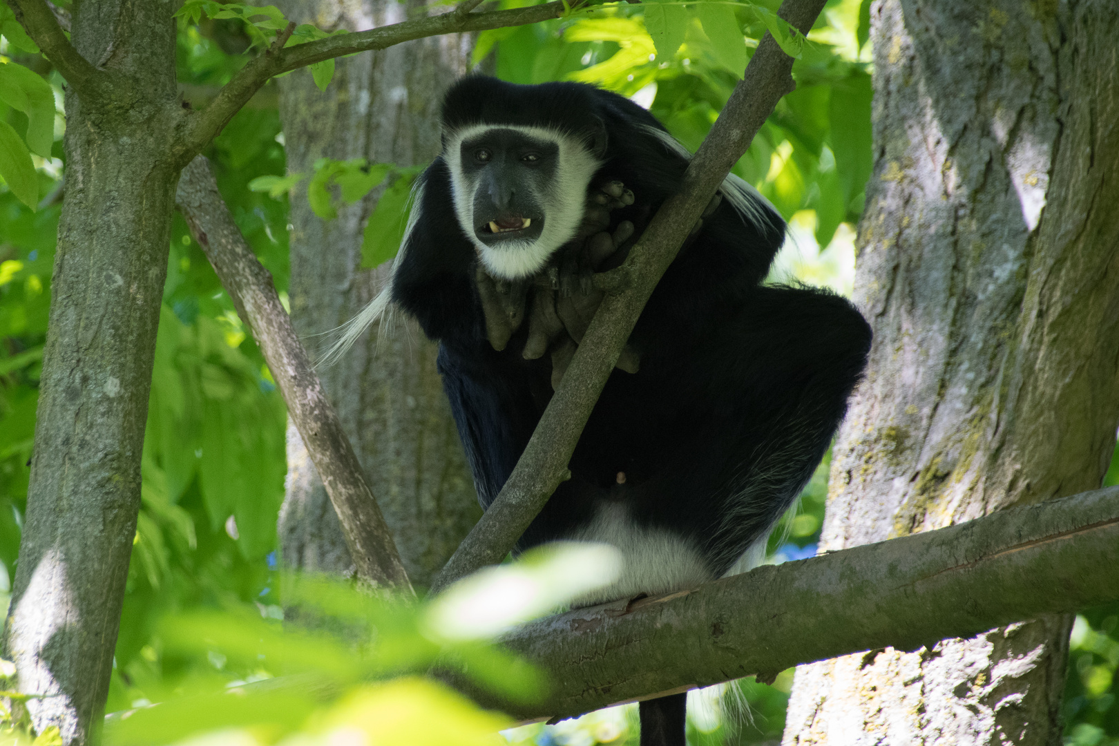 Zoo_Münster