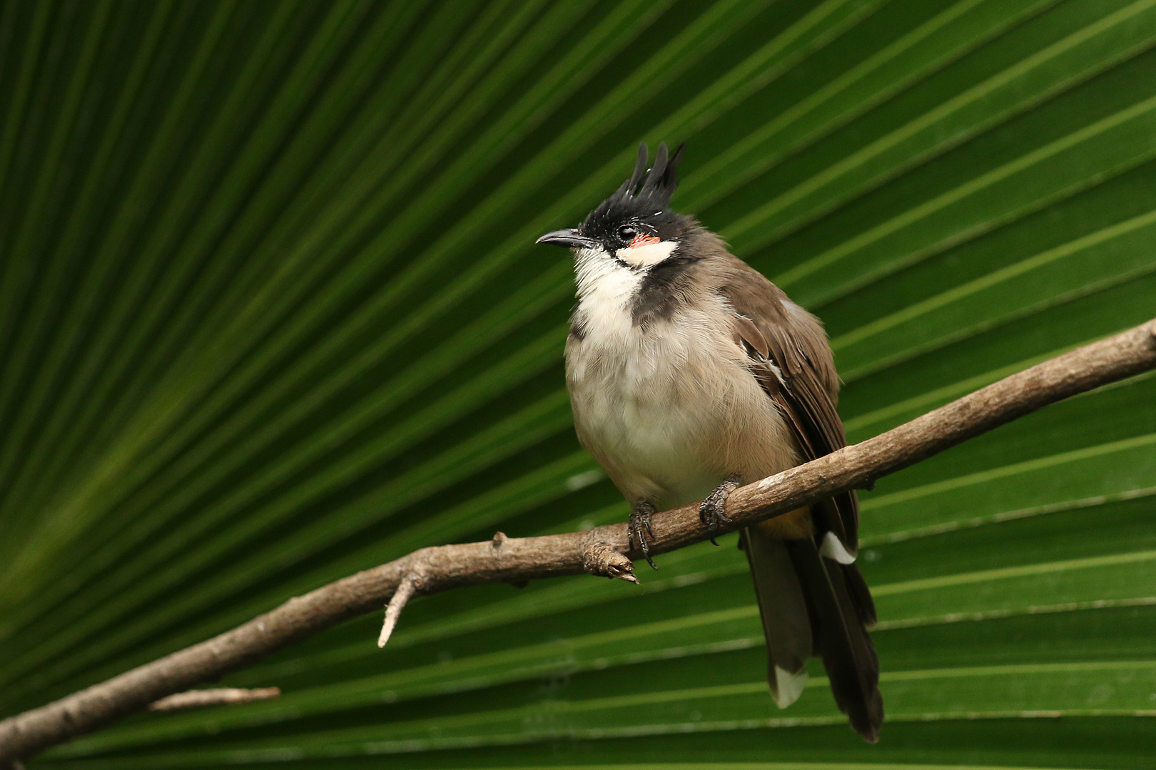 Zoomwelt Gelsenkirchen