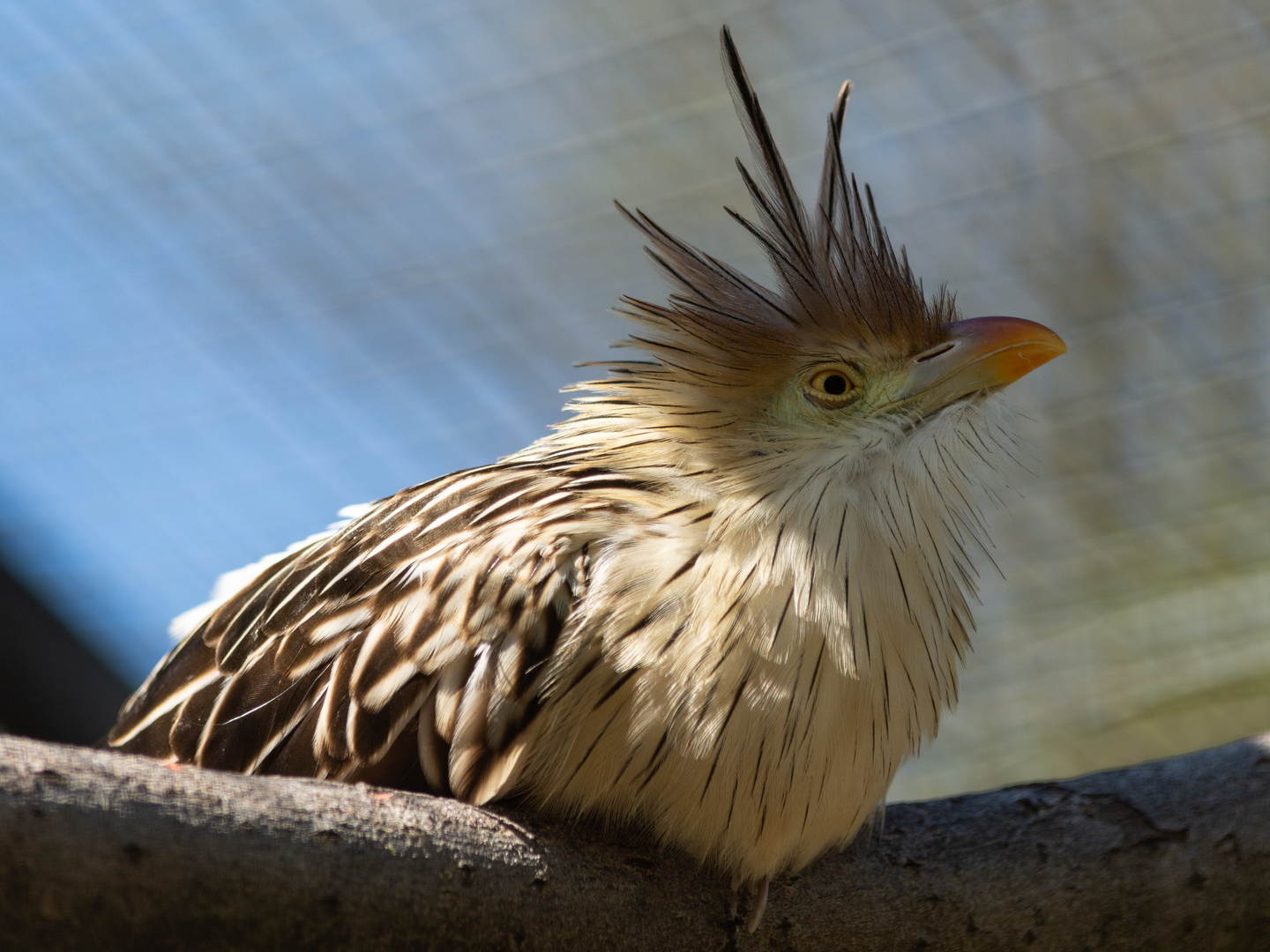 Zoo_Neuwied_027