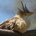 Zoo_Neuwied_027