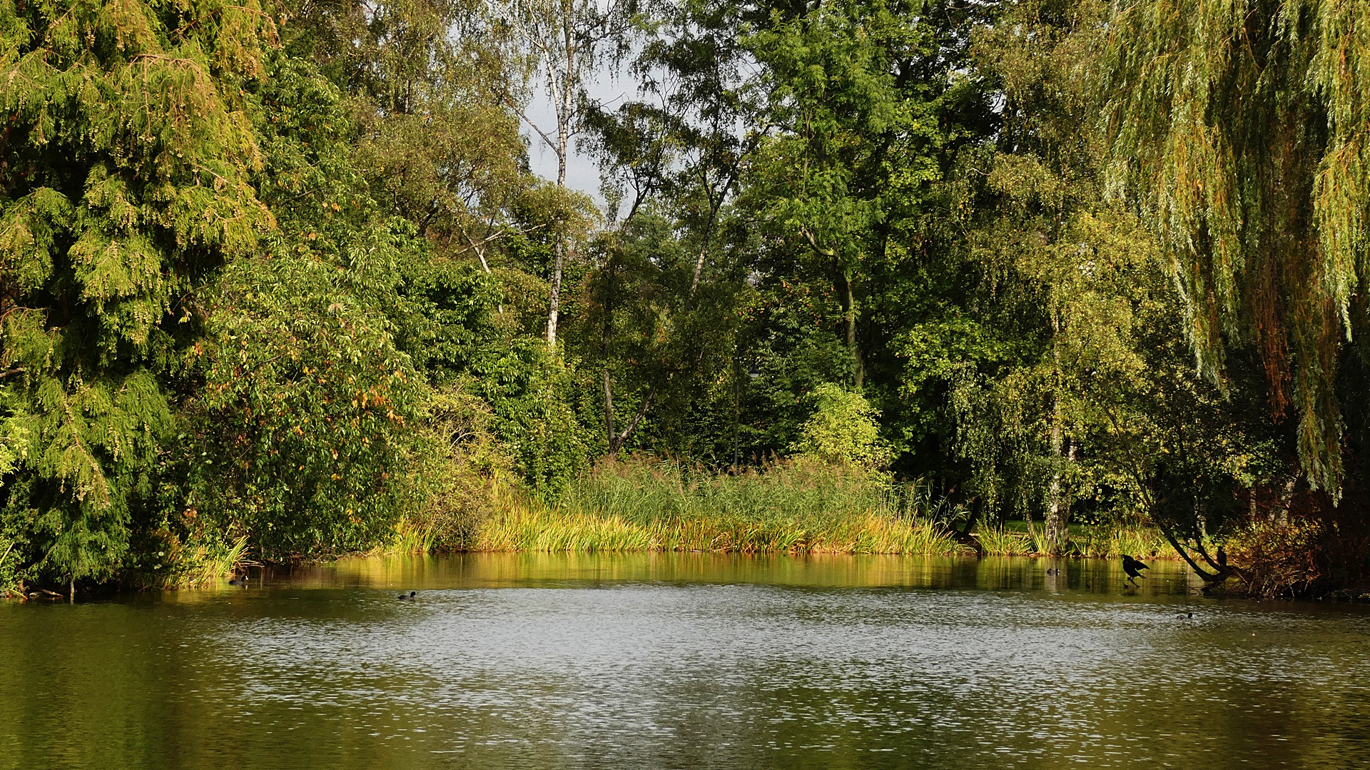 Zoopark Düsseldorf