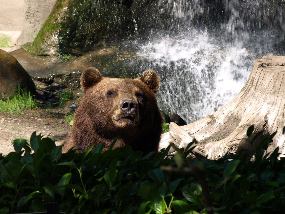 Zoopark Hagenbeck #01