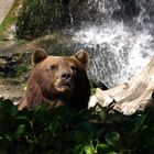 Zoopark Hagenbeck #01