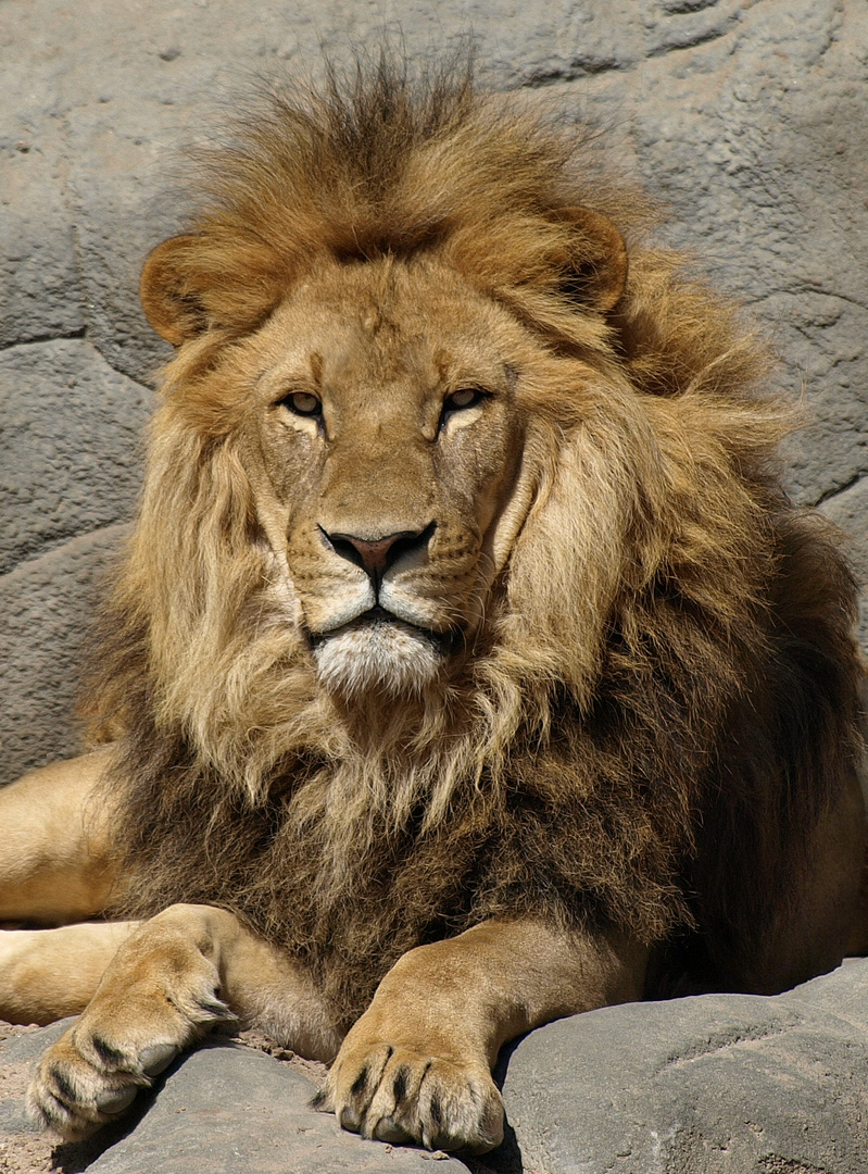 Zoopark Hagenbeck #10