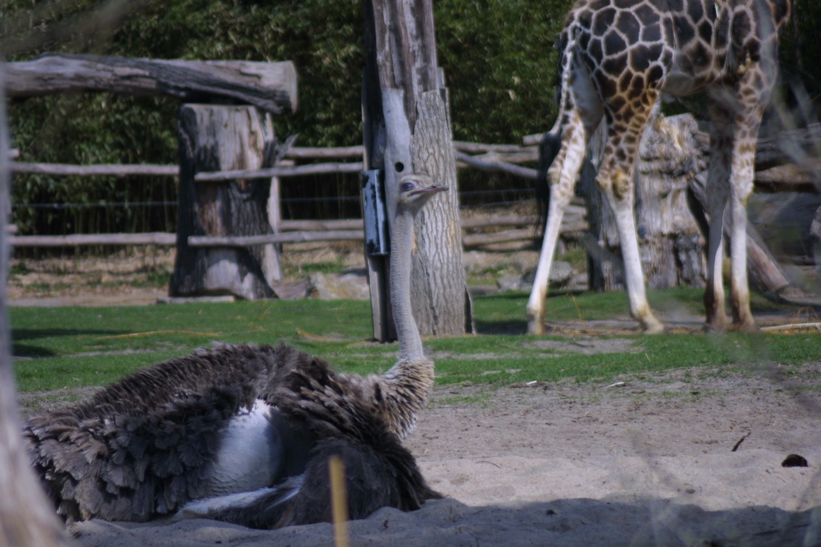 Zooschaufenster Leipzig