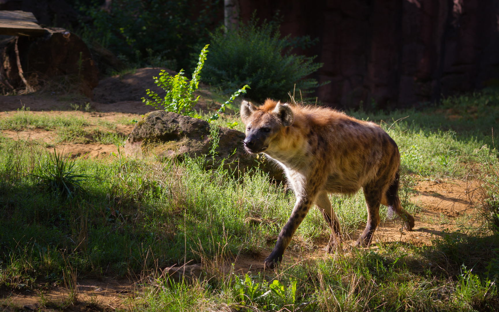 Zoo_Zoom Erlebniswelt-V02