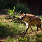 Zoo_Zoom Erlebniswelt-V02