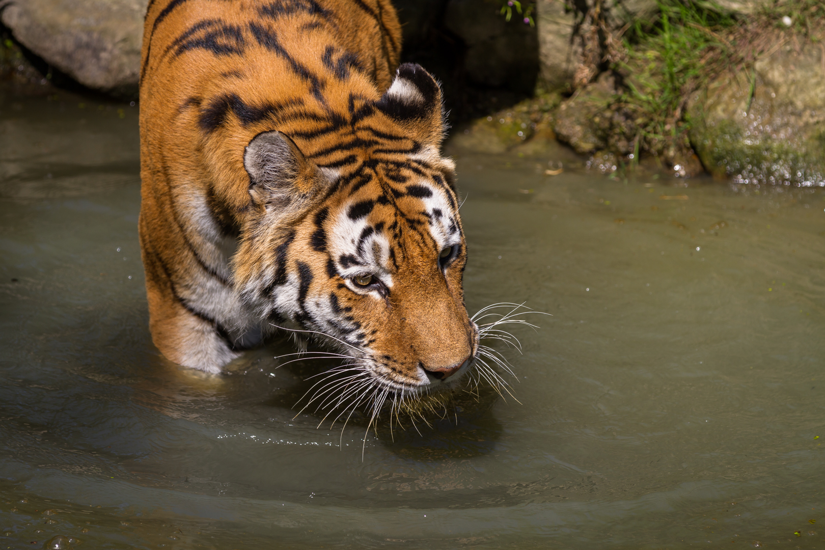 Zoo_Zoom Erlebniswelt-V03