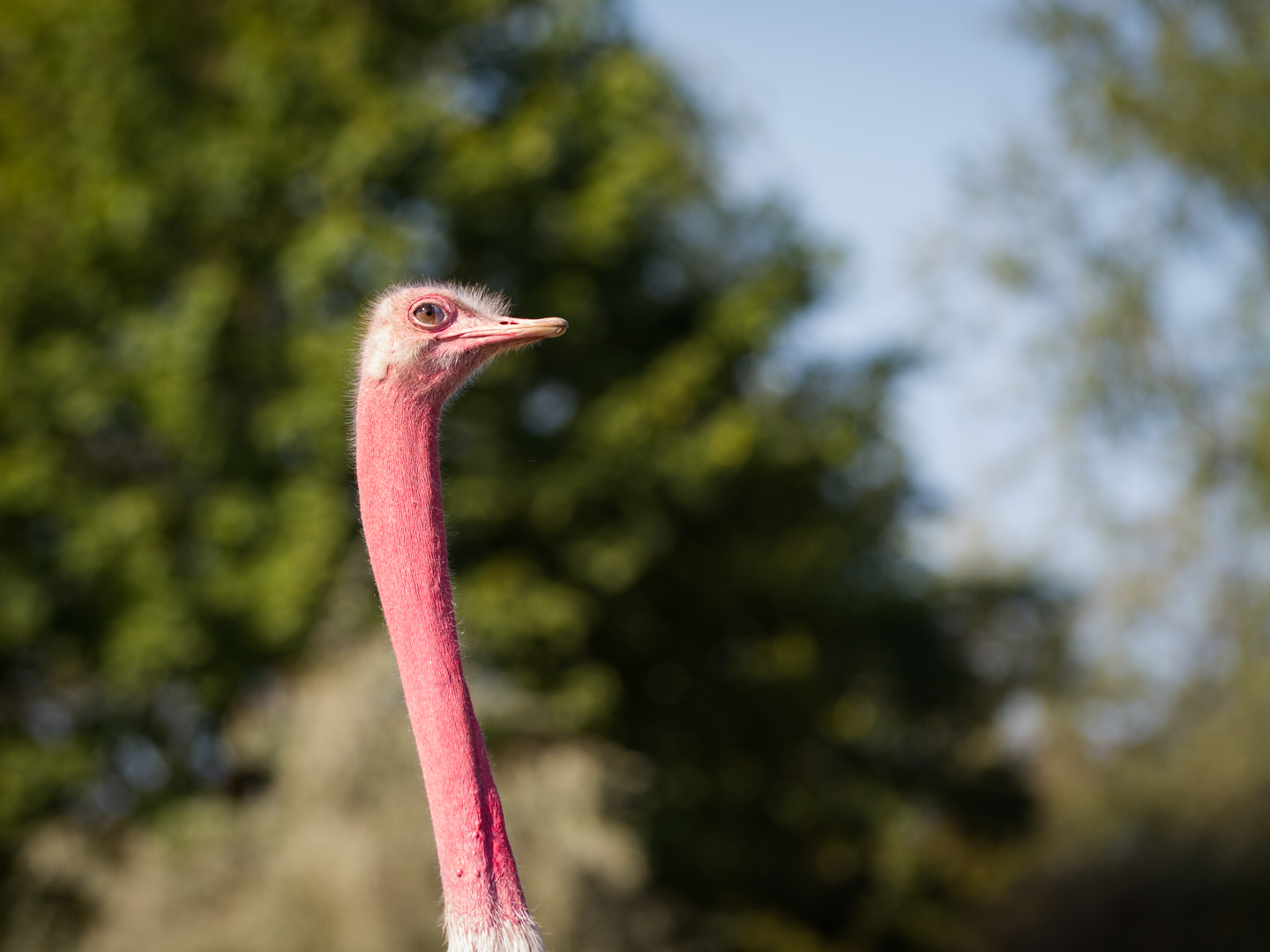 Zoo_Zoom Erlebniswelt-V06