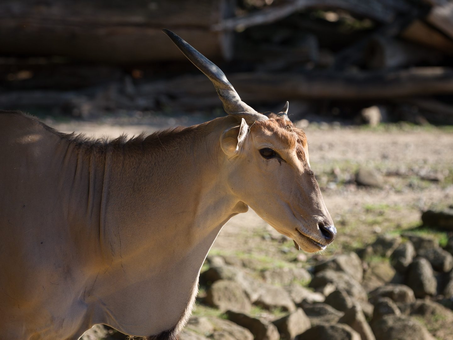 Zoo_Zoom Erlebniswelt-V07