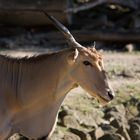 Zoo_Zoom Erlebniswelt-V07