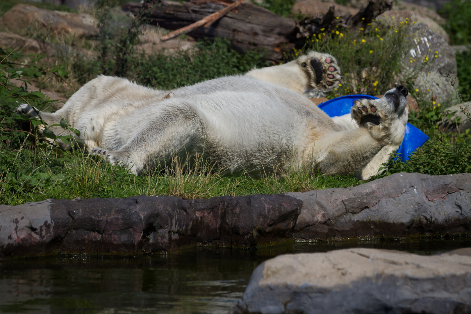 Zoo_Zoom Erlebniswelt-V08