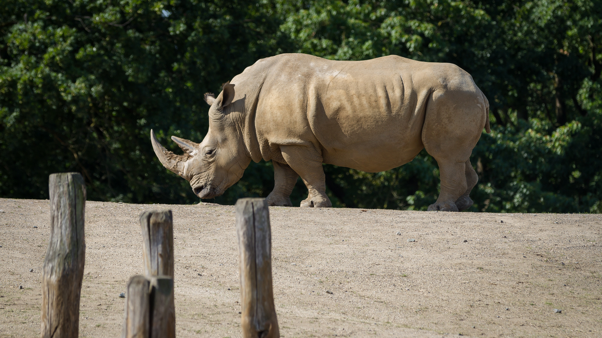 Zoo_Zoom Erlebniswelt-V11