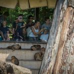 Zoo_Zoom Erlebniswelt-V26