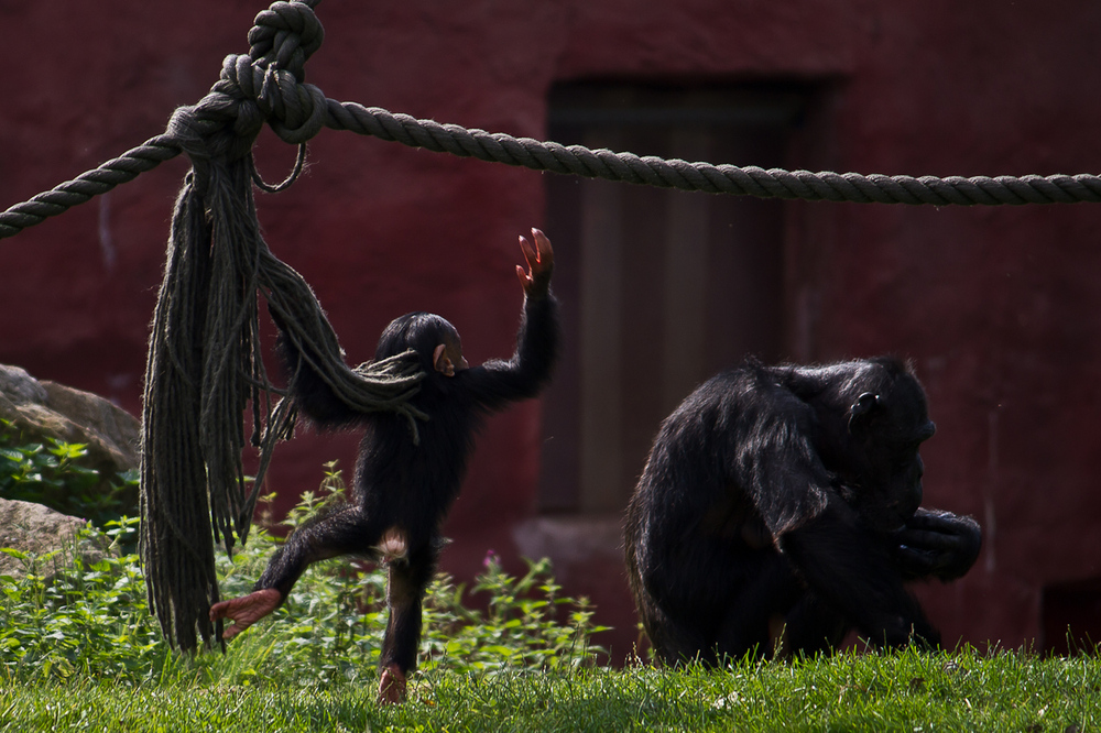 Zoo_Zoom Erlebniswelt03