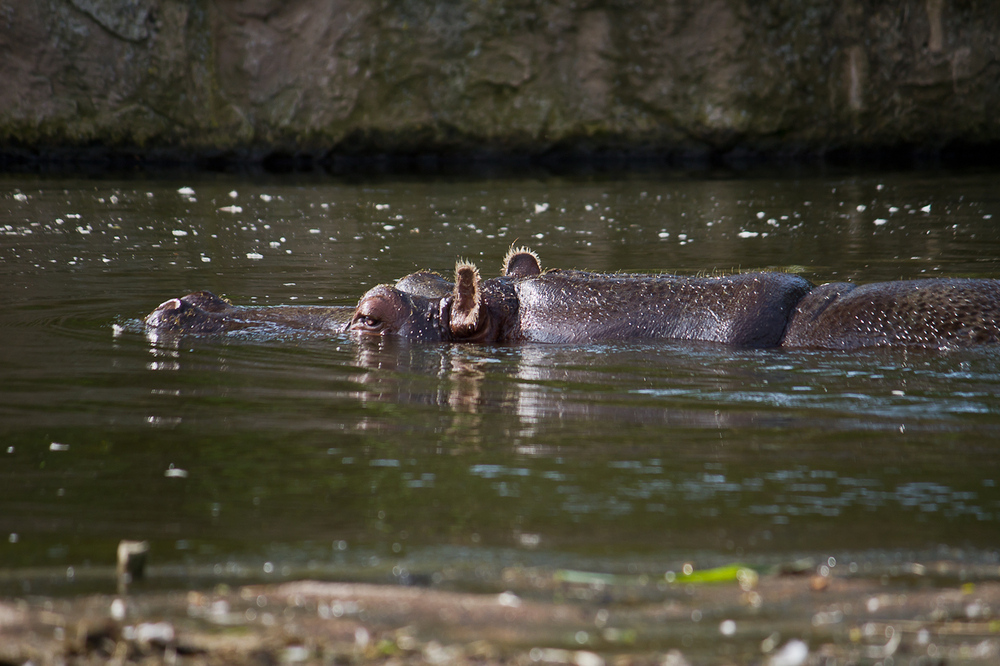 Zoo_Zoom Erlebniswelt05