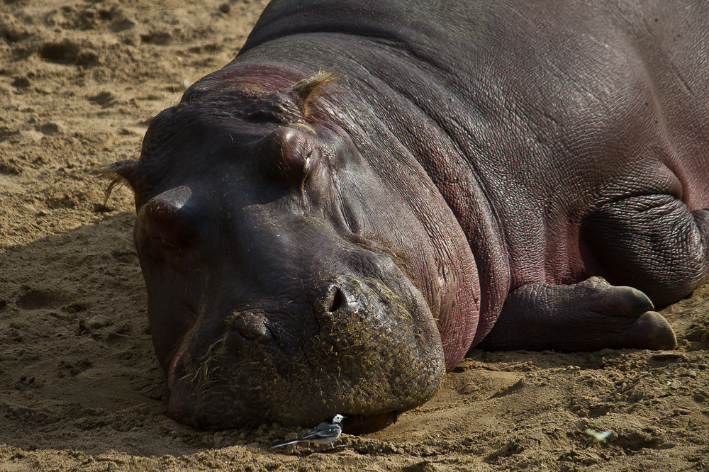 Zoo_Zoom Erlebniswelt10