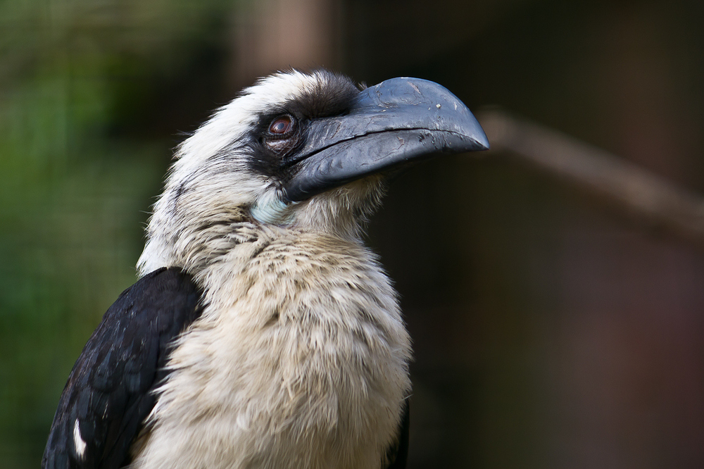 Zoo_Zoom Erlebniswelt11