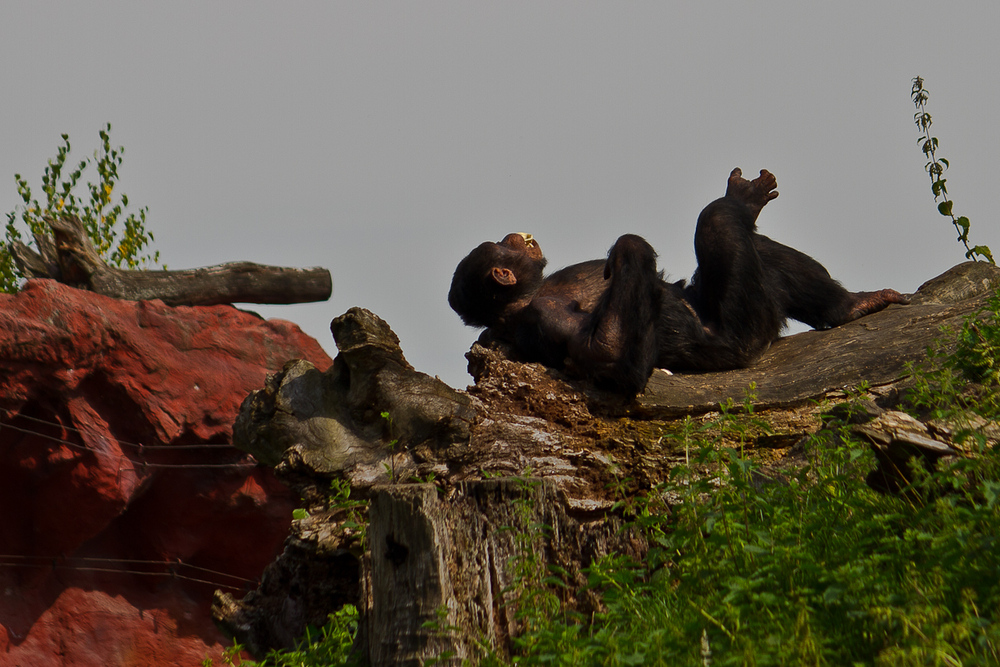 Zoo_Zoom Erlebniswelt12