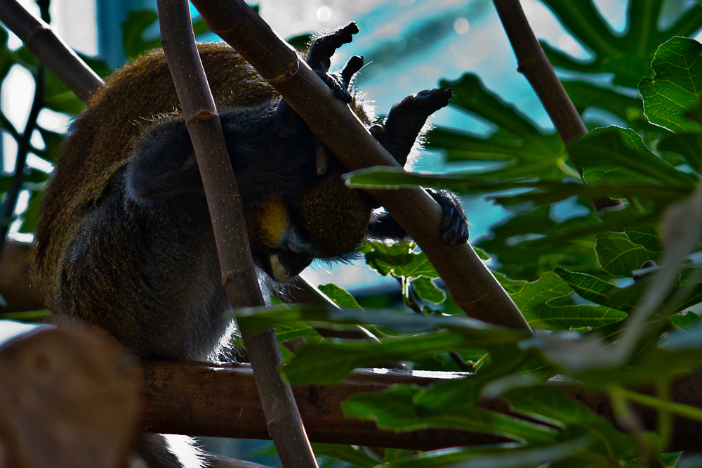 Zoo_Zoom Erlebniswelt13