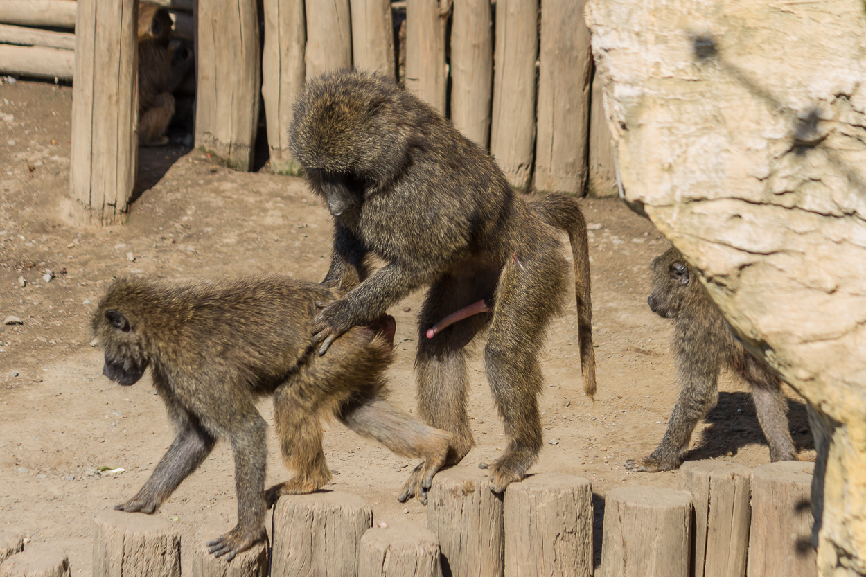 Zoo_Zoom Erlebniswelt15