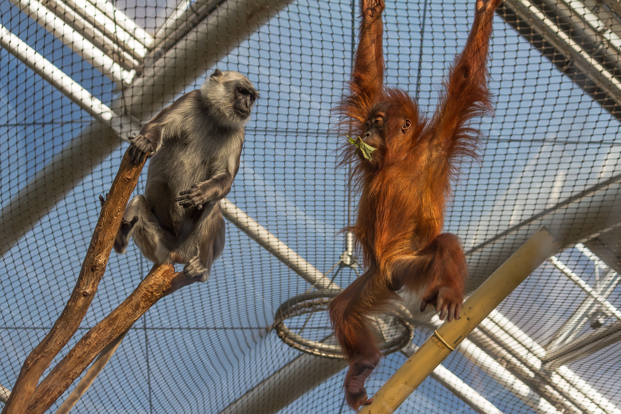 Zoo_Zoom Erlebniswelt19