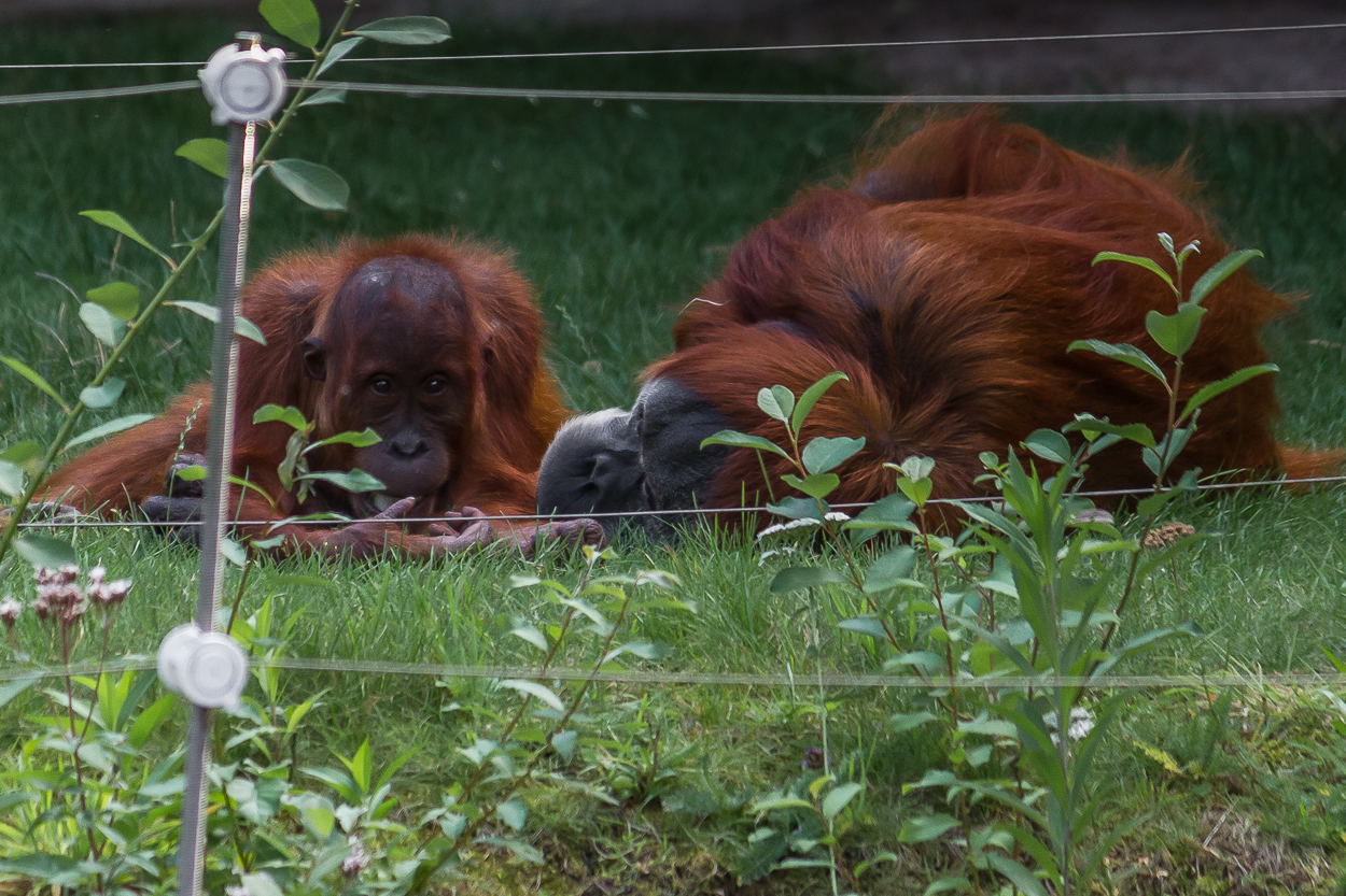 Zoo_Zoom Erlebniswelt20