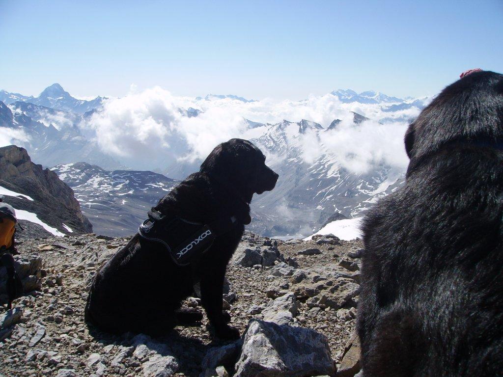 Zoran und Upala auf dem "Strubel" 3244m