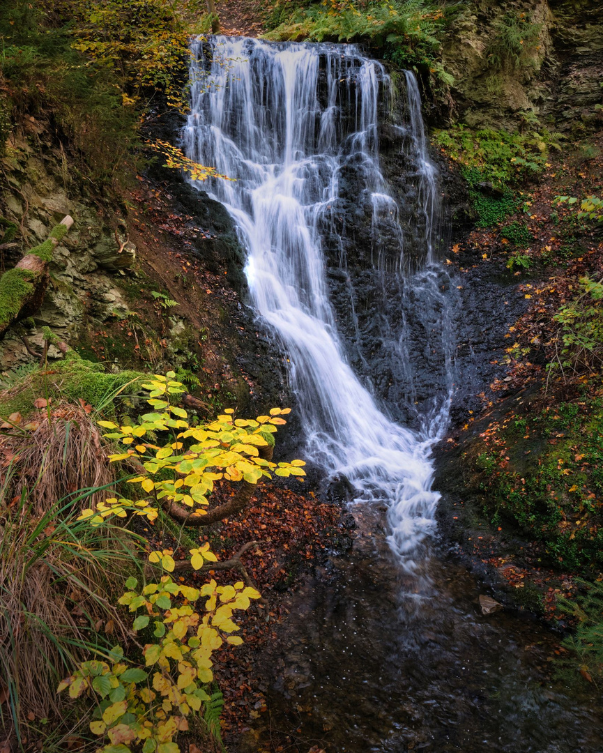 Zorger Wasserfall | Harz