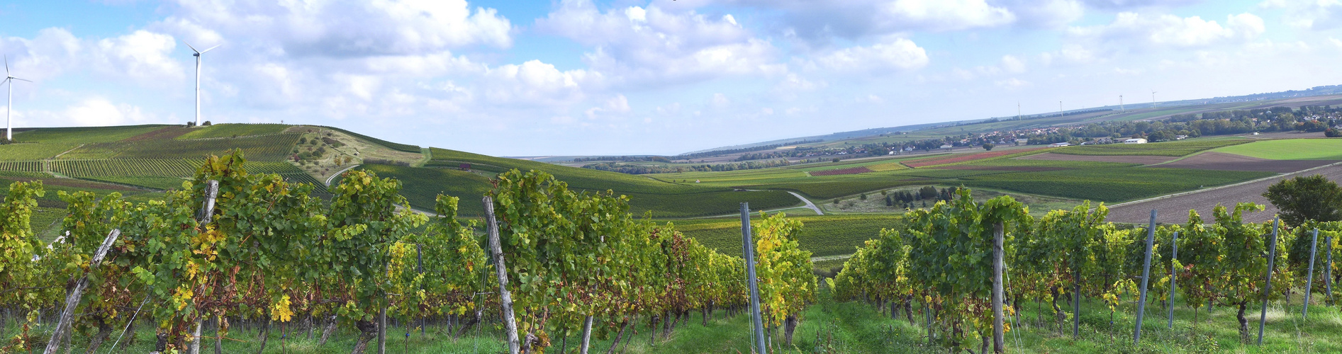 Zornheim,  am Hohberg mit Blick auf Selzberg und Selztal