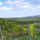 Zornheim,  am Hohberg mit Blick auf Selzberg und Selztal