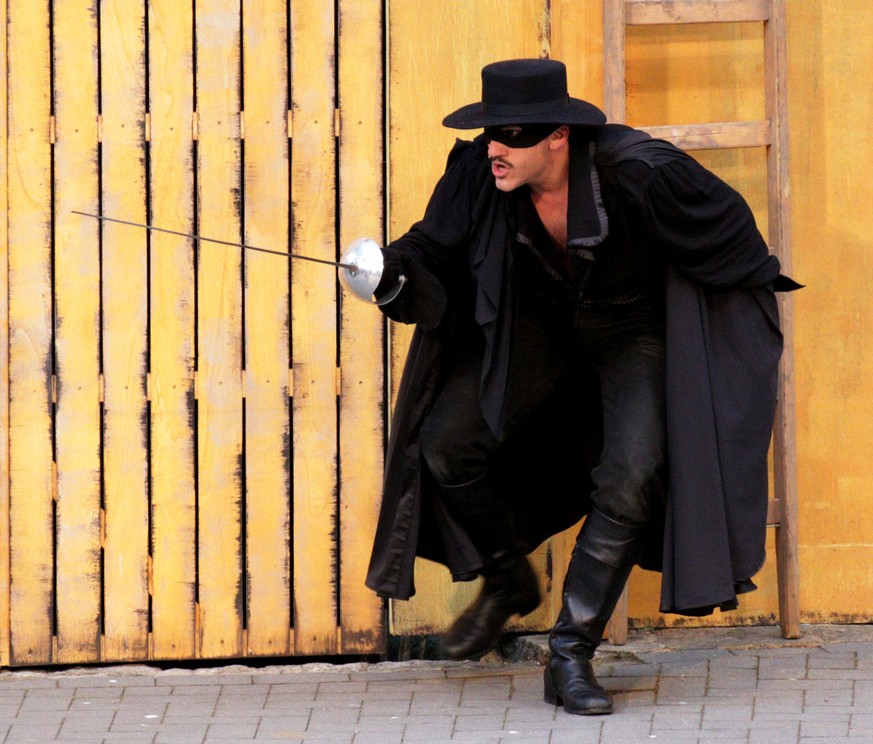 Zorro 2015