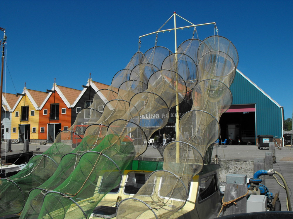 ZOUTKAMP PFINGSTEN 2009