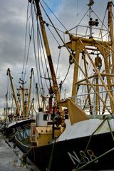 Zoutkamp - Reitdiephaven - Fishing Fleet - 02
