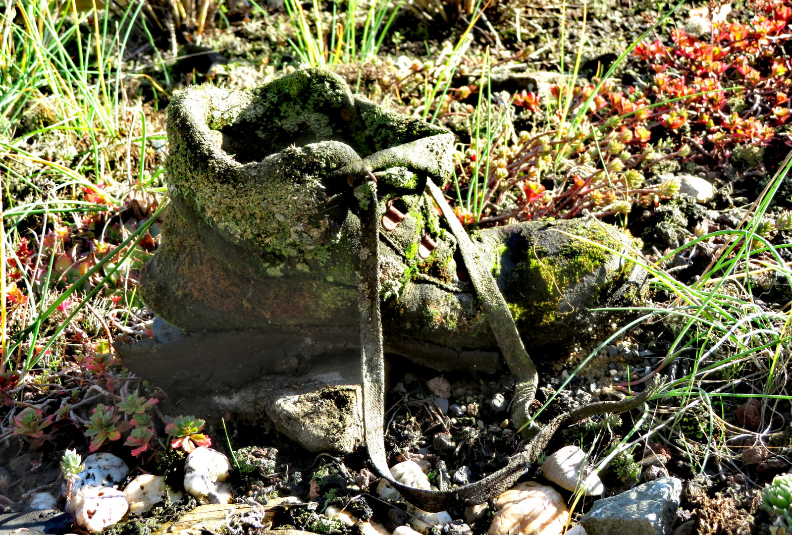 Zrück zur Natur