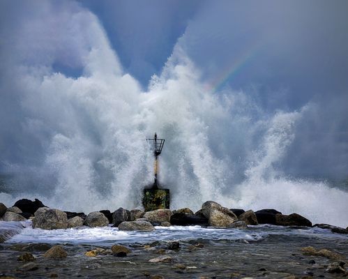 zt-0223--Temporal-99_3