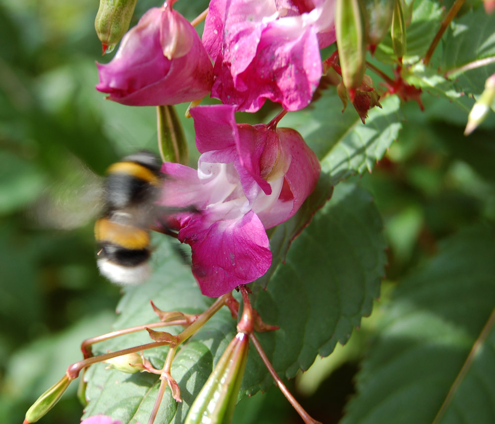 ***Zu Besuch***