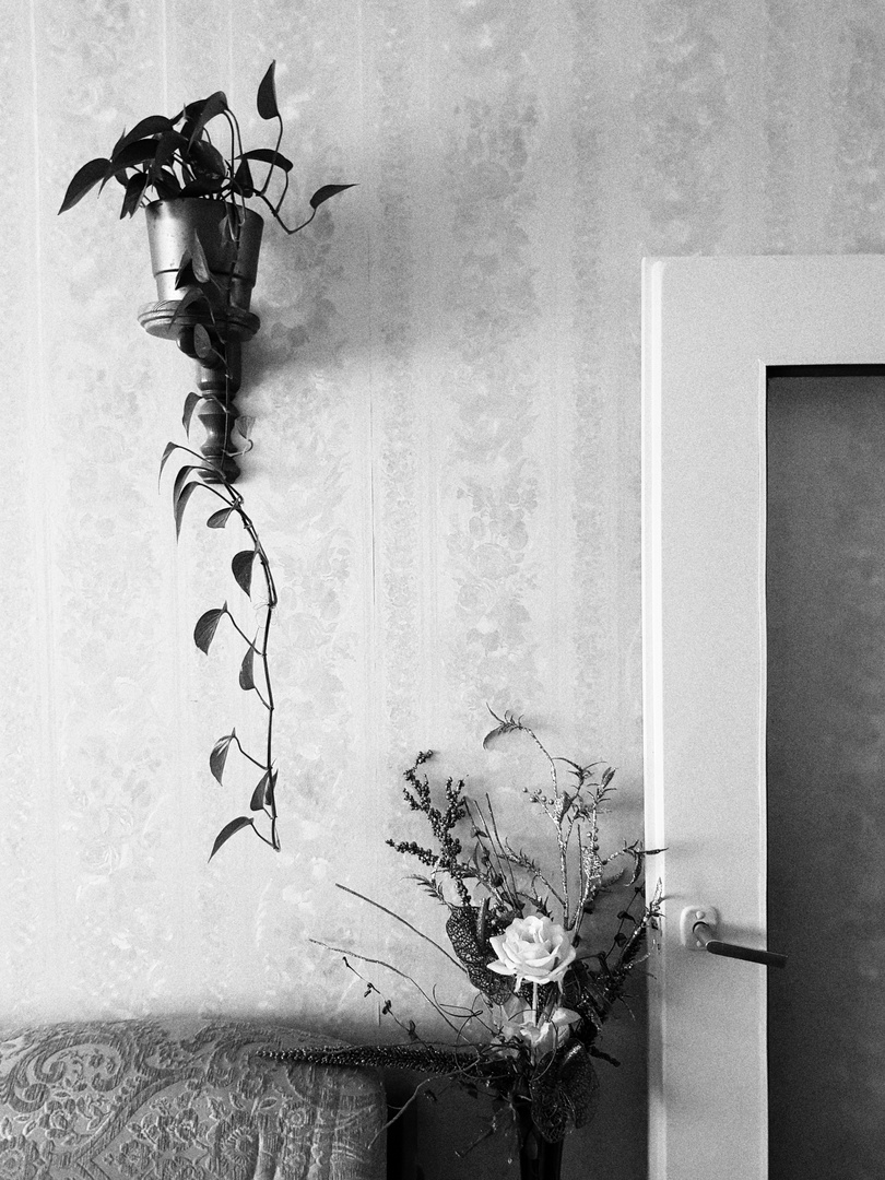 Zu Besuch Foto &amp; Bild | stillleben, fotokunst, monochrome fine art ...