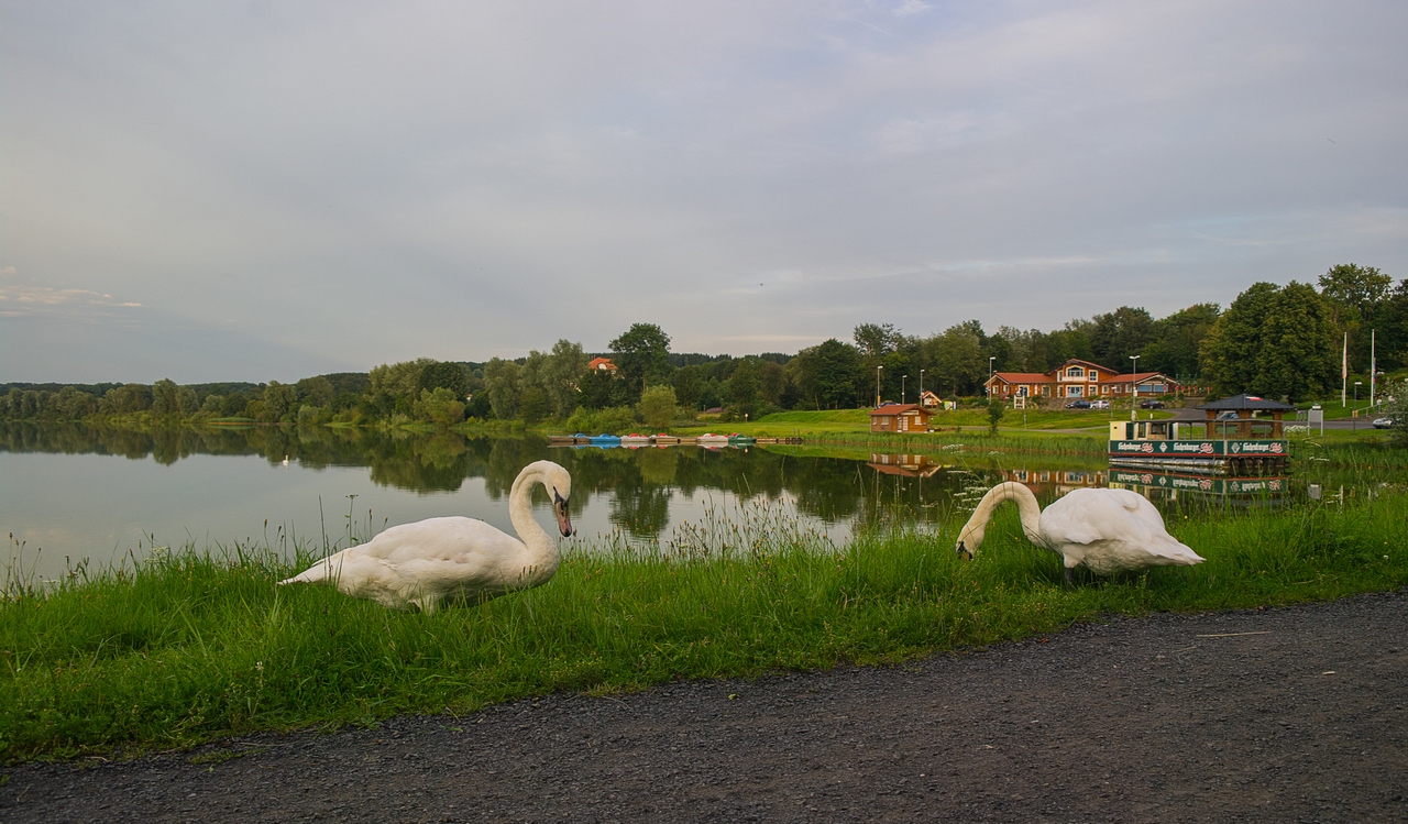 Zu Besuch am Wiesensee