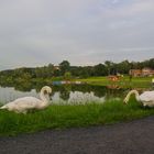 Zu Besuch am Wiesensee