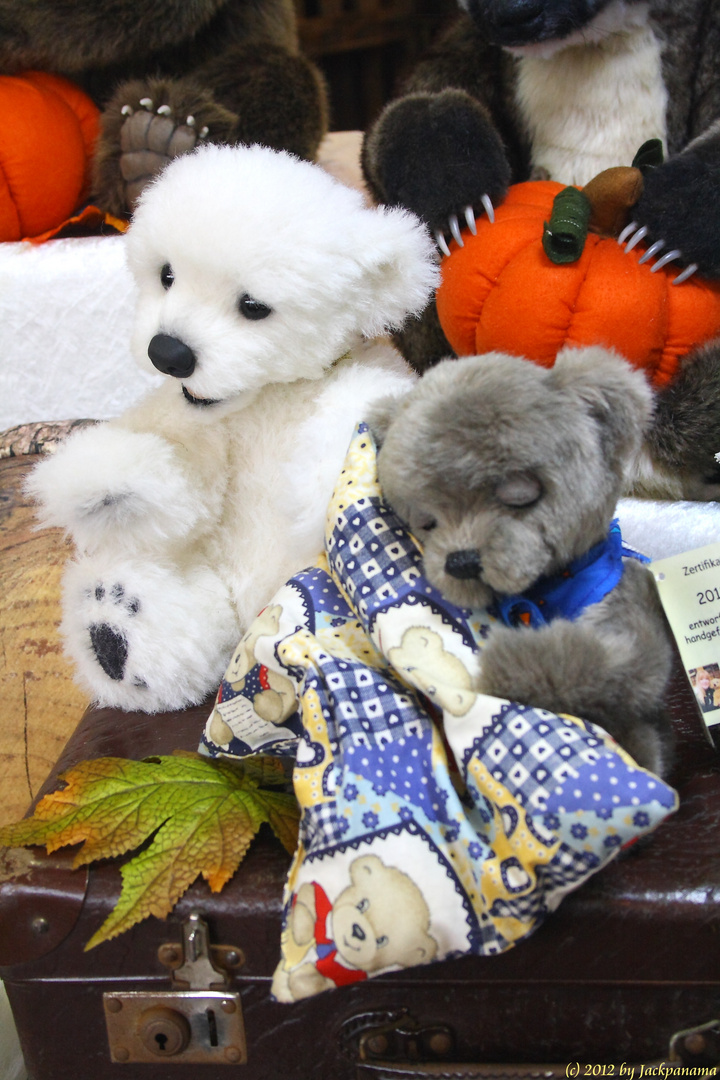 Zu Besuch auf der Euro Teddy 2012 in Essen (1)